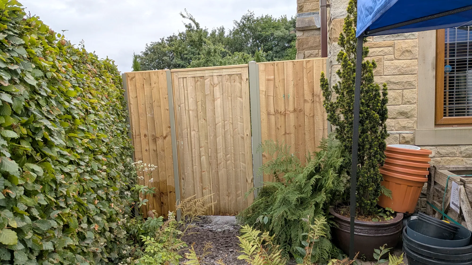 Garden gate + fencing